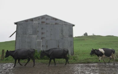 Farm Bio-Security